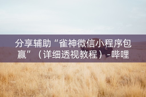 分享辅助“雀神微信小程序包赢”（详细透视教程）-哔哩哔哩