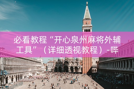 必看教程“开心泉州麻将外辅工具”（详细透视教程）-哔哩哔哩