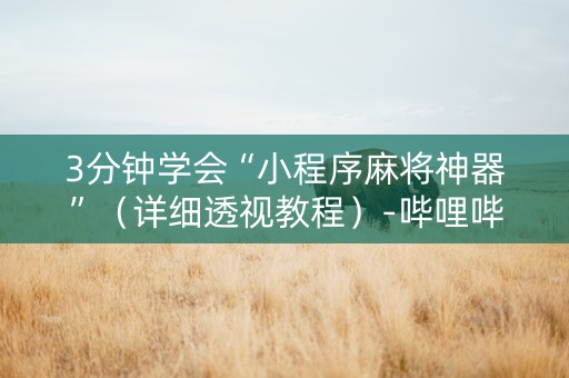 3分钟学会“小程序麻将神器”（详细透视教程）-哔哩哔哩