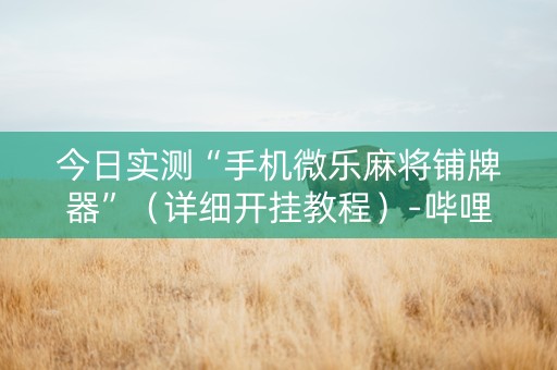 今日实测“手机微乐麻将铺牌器”（详细开挂教程）-哔哩哔哩