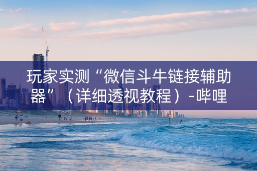 玩家实测“微信斗牛链接辅助器”（详细透视教程）-哔哩哔哩