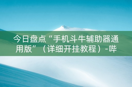 今日盘点“手机斗牛辅助器通用版”（详细开挂教程）-哔哩哔哩