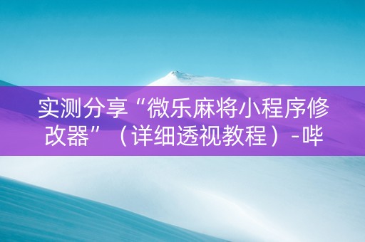 实测分享“微乐麻将小程序修改器”（详细透视教程）-哔哩哔哩