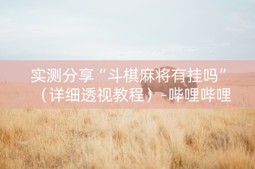 实测分享“斗棋麻将有挂吗”（详细透视教程）-哔哩哔哩