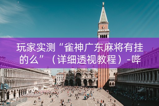玩家实测“雀神广东麻将有挂的么”（详细透视教程）-哔哩哔哩