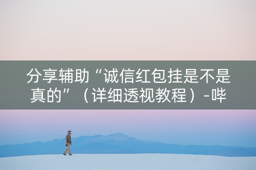 分享辅助“诚信红包挂是不是真的”（详细透视教程）-哔哩哔哩