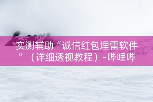 实测辅助“诚信红包埋雷软件”（详细透视教程）-哔哩哔哩