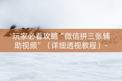 玩家必看攻略“微信拼三张辅助视频”（详细透视教程）-哔哩哔哩