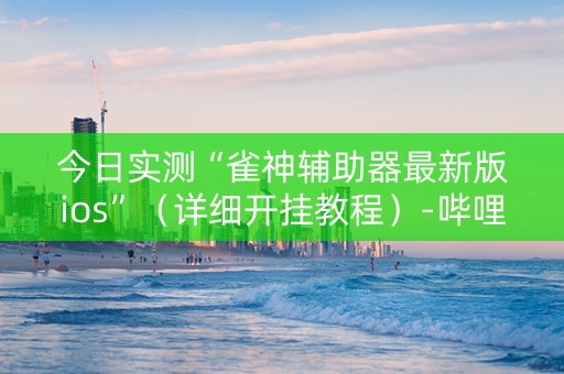 今日实测“雀神辅助器最新版ios”（详细开挂教程）-哔哩哔哩