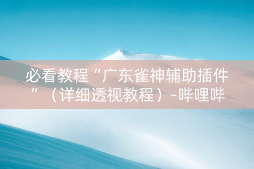 必看教程“广东雀神辅助插件”（详细透视教程）-哔哩哔哩
