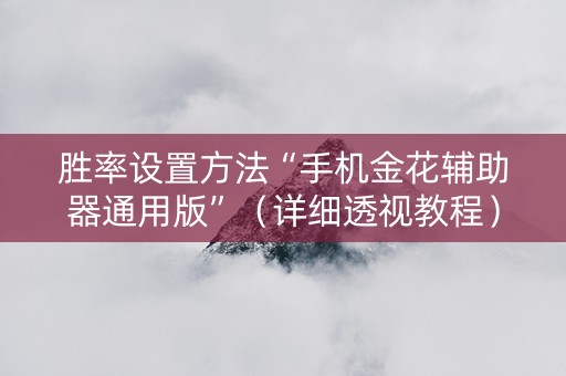 胜率设置方法“手机金花辅助器通用版”（详细透视教程）-哔哩哔哩