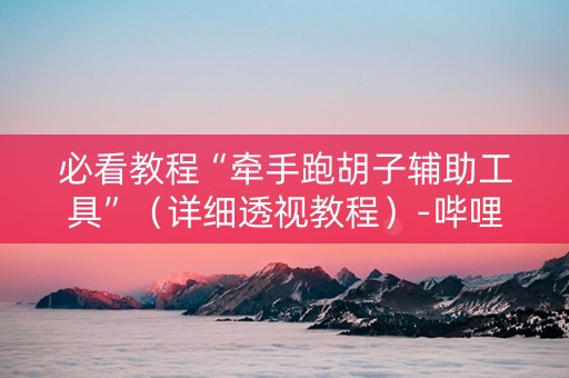 必看教程“牵手跑胡子辅助工具”（详细透视教程）-哔哩哔哩
