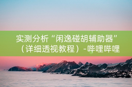 实测分析“闲逸碰胡辅助器”（详细透视教程）-哔哩哔哩