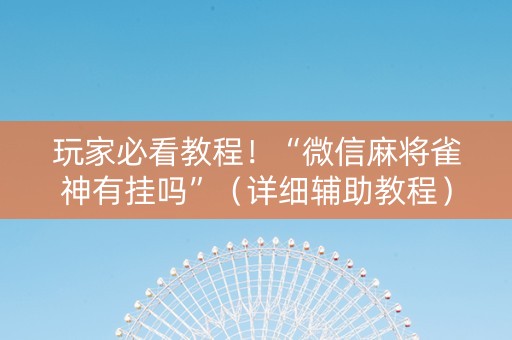 玩家必看教程！“微信麻将雀神有挂吗”（详细辅助教程）-哔哩哔哩