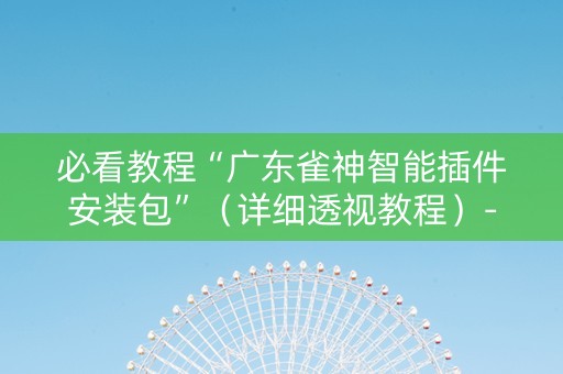 必看教程“广东雀神智能插件安装包”（详细透视教程）-哔哩哔哩