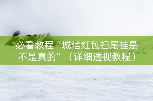 必看教程“城信红包扫尾挂是不是真的”（详细透视教程）-哔哩哔哩