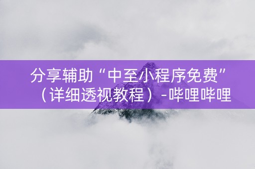 分享辅助“中至小程序免费”（详细透视教程）-哔哩哔哩