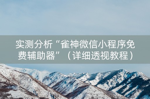 实测分析“雀神微信小程序免费辅助器”（详细透视教程）-哔哩哔哩