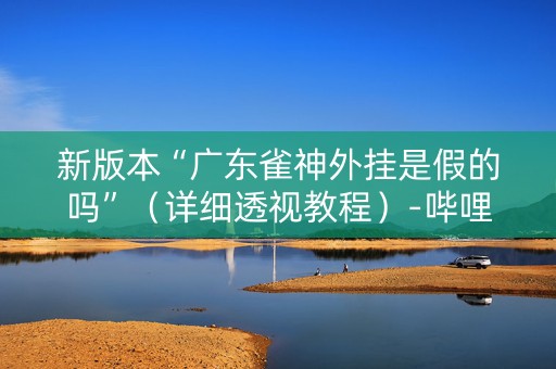 新版本“广东雀神外挂是假的吗”（详细透视教程）-哔哩哔哩