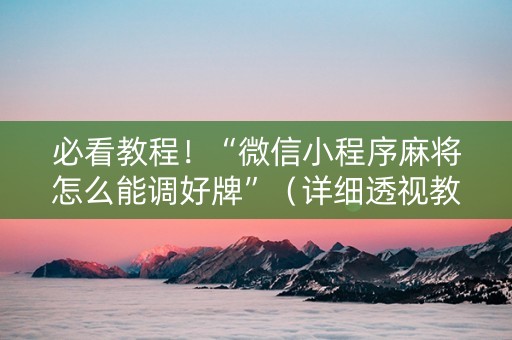 必看教程！“微信小程序麻将怎么能调好牌”（详细透视教程）-哔哩哔哩