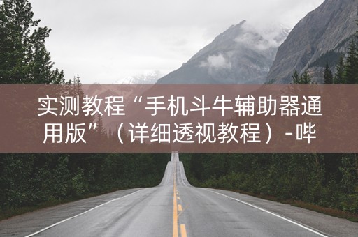 实测教程“手机斗牛辅助器通用版”（详细透视教程）-哔哩哔哩