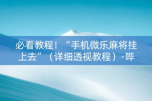 必看教程！“手机微乐麻将挂上去”（详细透视教程）-哔哩哔哩
