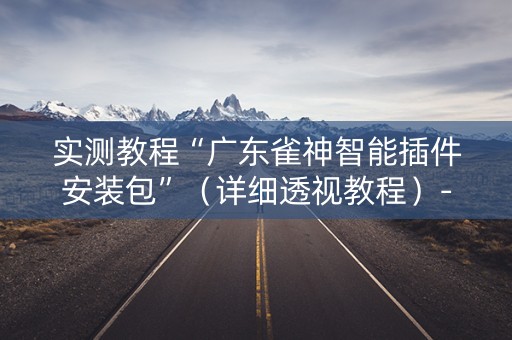 实测教程“广东雀神智能插件安装包”（详细透视教程）-哔哩哔哩