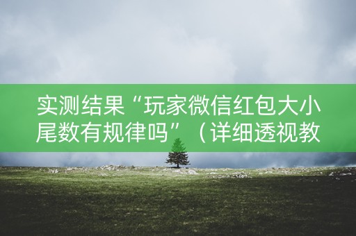 实测结果“玩家微信红包大小尾数有规律吗”（详细透视教程）-哔哩哔哩
