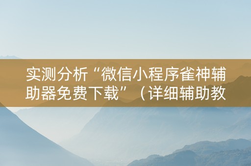 实测分析“微信小程序雀神辅助器免费下载”（详细辅助教程）-哔哩哔哩