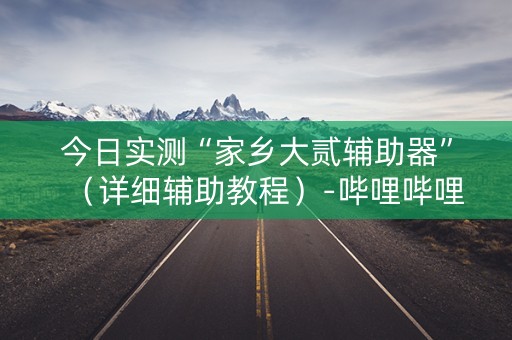 今日实测“家乡大贰辅助器”（详细辅助教程）-哔哩哔哩