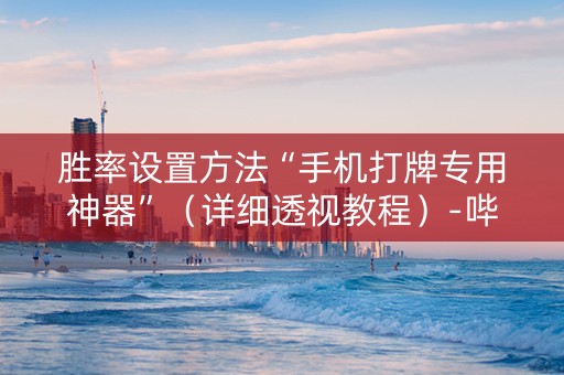 胜率设置方法“手机打牌专用神器”（详细透视教程）-哔哩哔哩