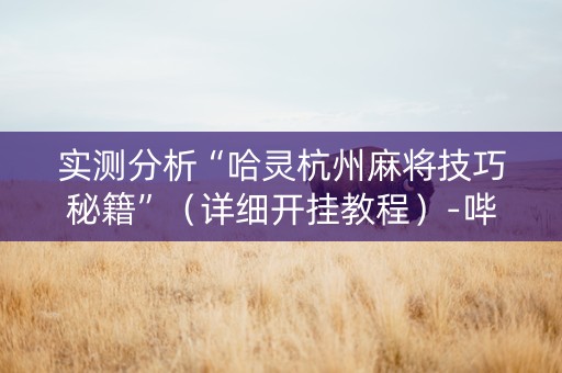 实测分析“哈灵杭州麻将技巧秘籍”（详细开挂教程）-哔哩哔哩