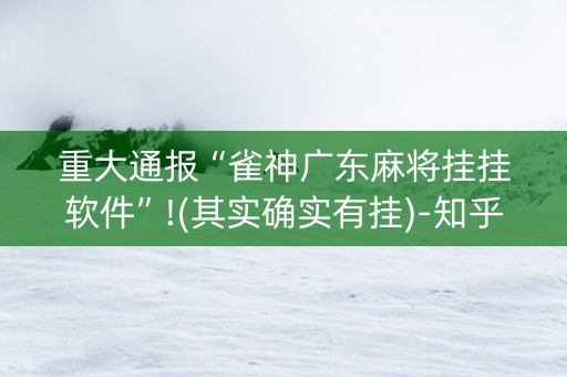 重大通报“雀神广东麻将挂挂软件”!(其实确实有挂)-知乎