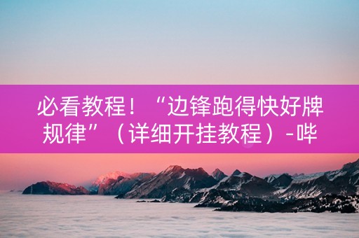 必看教程！“边锋跑得快好牌规律”（详细开挂教程）-哔哩哔哩