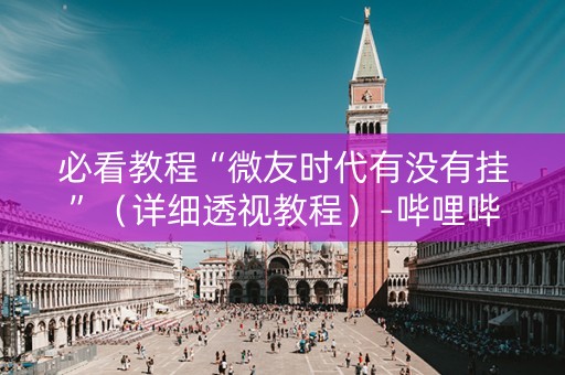 必看教程“微友时代有没有挂”（详细透视教程）-哔哩哔哩