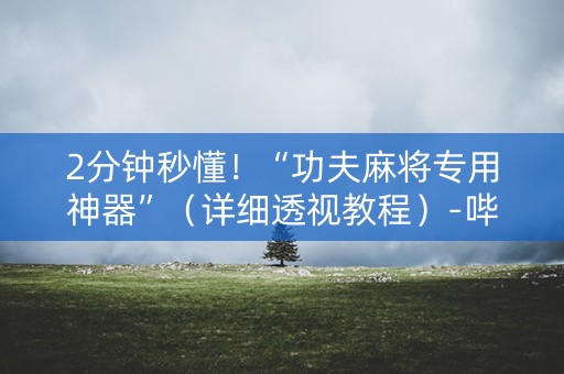 2分钟秒懂！“功夫麻将专用神器”（详细透视教程）-哔哩哔哩