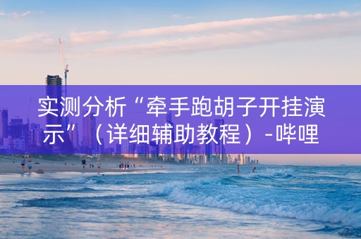 实测分析“牵手跑胡子开挂演示”（详细辅助教程）-哔哩哔哩