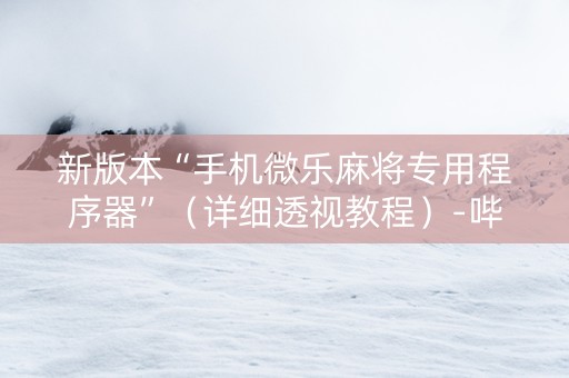 新版本“手机微乐麻将专用程序器”（详细透视教程）-哔哩哔哩