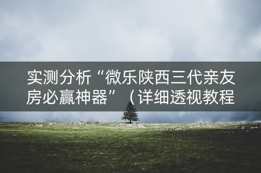 实测分析“微乐陕西三代亲友房必赢神器”（详细透视教程）-哔哩哔哩