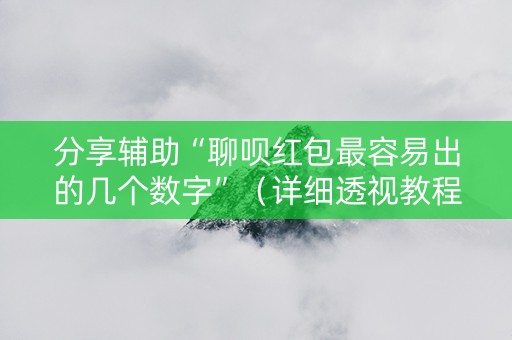 分享辅助“聊呗红包最容易出的几个数字”（详细透视教程）-哔哩哔哩