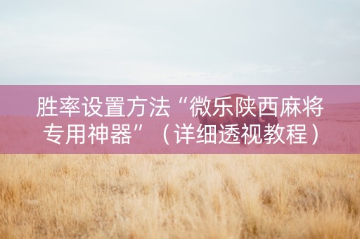 胜率设置方法“微乐陕西麻将专用神器”（详细透视教程）-哔哩哔哩