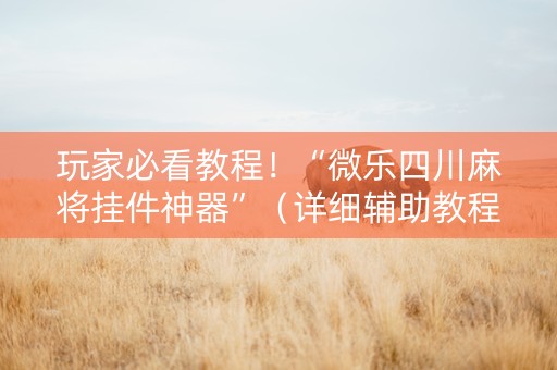 玩家必看教程！“微乐四川麻将挂件神器”（详细辅助教程）-哔哩哔哩
