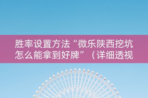 胜率设置方法“微乐陕西挖坑怎么能拿到好牌”（详细透视教程）-哔哩哔哩