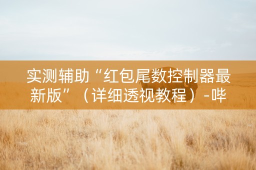 实测辅助“红包尾数控制器最新版”（详细透视教程）-哔哩哔哩
