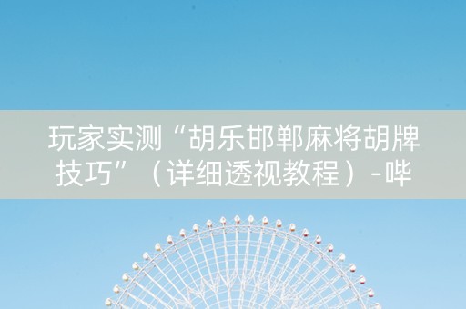 玩家实测“胡乐邯郸麻将胡牌技巧”（详细透视教程）-哔哩哔哩