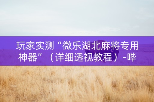 玩家实测“微乐湖北麻将专用神器”（详细透视教程）-哔哩哔哩