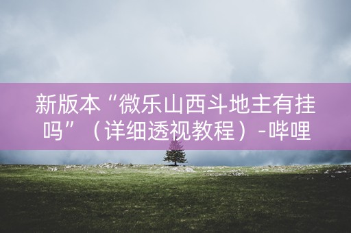 新版本“微乐山西斗地主有挂吗”（详细透视教程）-哔哩哔哩
