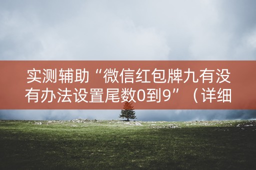 实测辅助“微信红包牌九有没有办法设置尾数0到9”（详细透视教程）-哔哩哔哩