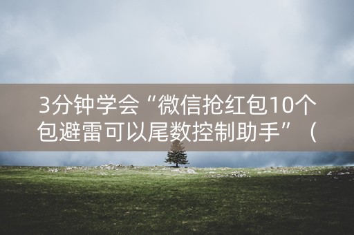 3分钟学会“微信抢红包10个包避雷可以尾数控制助手”（详细透视教程）-哔哩哔哩