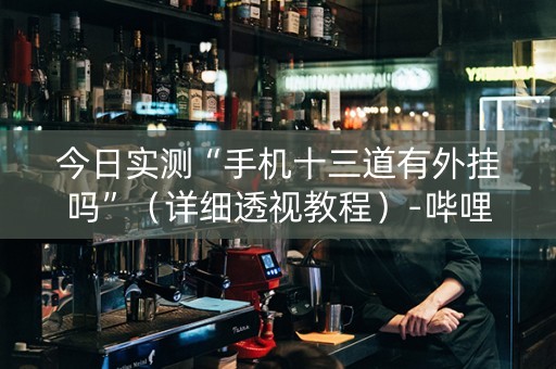 今日实测“手机十三道有外挂吗”（详细透视教程）-哔哩哔哩